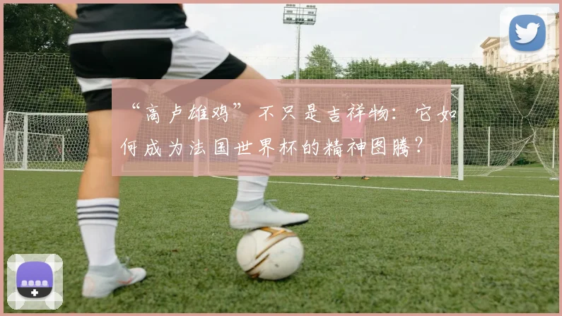 “高卢雄鸡”不只是吉祥物:它如何成为法国世界杯的精神图腾?