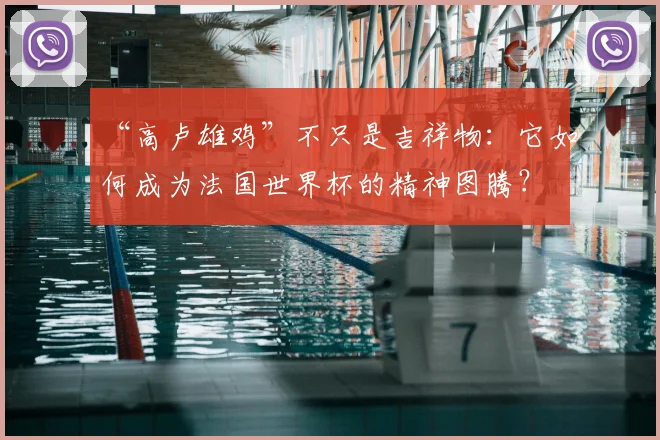 “高卢雄鸡”不只是吉祥物:它如何成为法国世界杯的精神图腾?