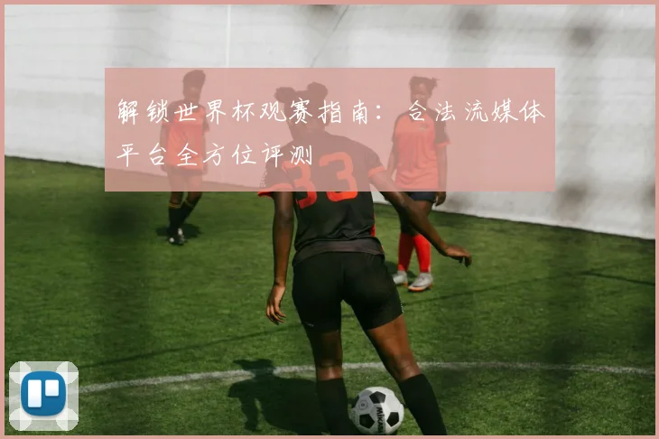 解锁世界杯观赛指南：合法流媒体平台全方位评测