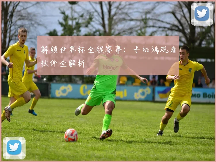 解锁世界杯全程赛事：手机端观看软件全解析