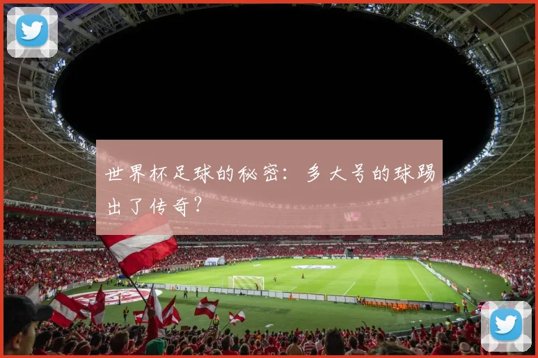 世界杯足球的秘密：多大号的球踢出了传奇？