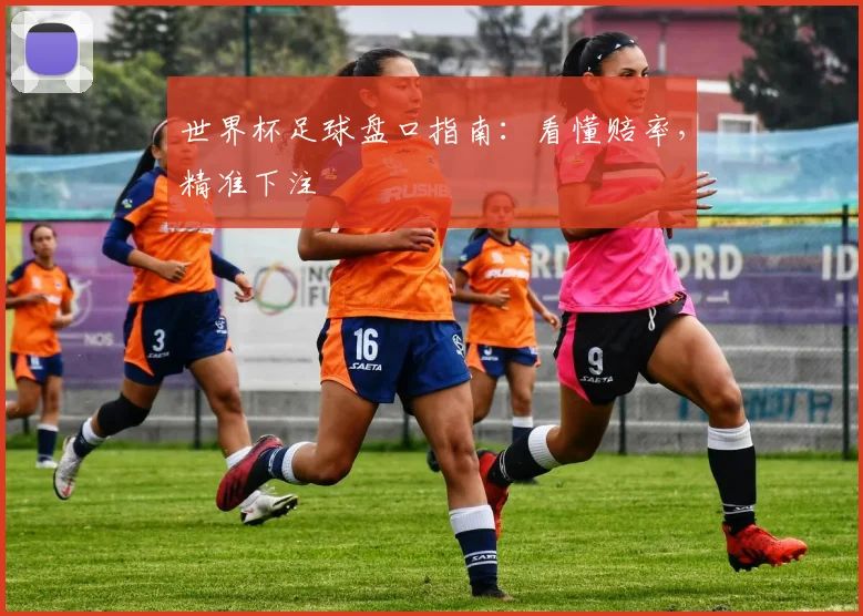 世界杯足球盘口指南：看懂赔率，精准下注
