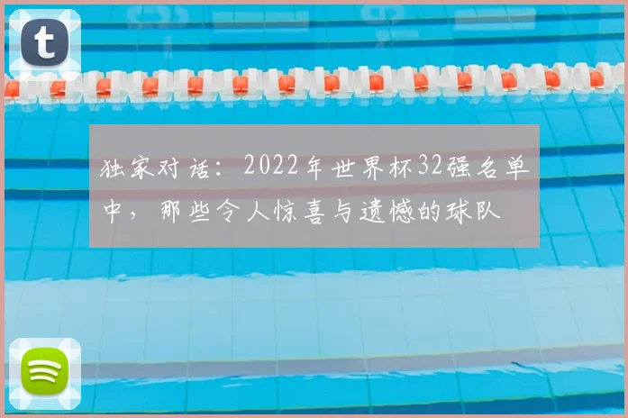 独家对话:2022年世界杯32强名单中,那些令人惊喜与遗憾的球队