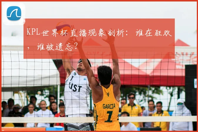 KPL世界杯直播现象剖析：谁在狂欢，谁被遗忘？