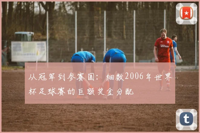 从冠军到参赛国：细数2006年世界杯足球赛的巨额奖金分配